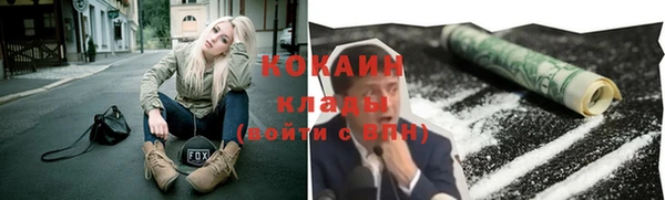 амф Алексин