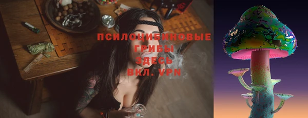 амф Алексин
