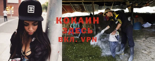 мдпв Осинники