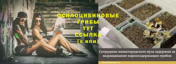 амф Алексин