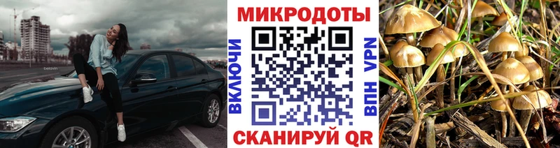 Галлюциногенные грибы мухоморы  blacksprut ТОР  Аргун 