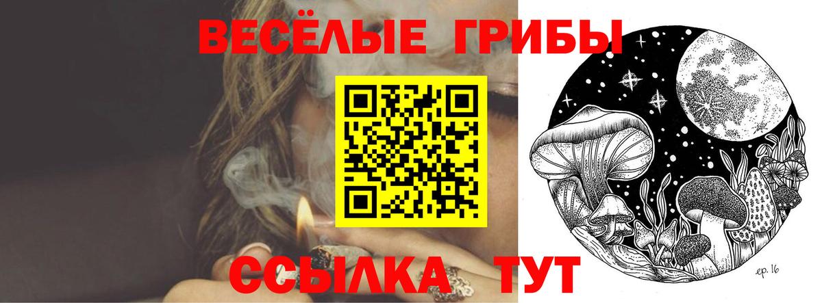Псилоцибиновые грибы Psilocybine cubensis  Вход с VPN  Аргун 