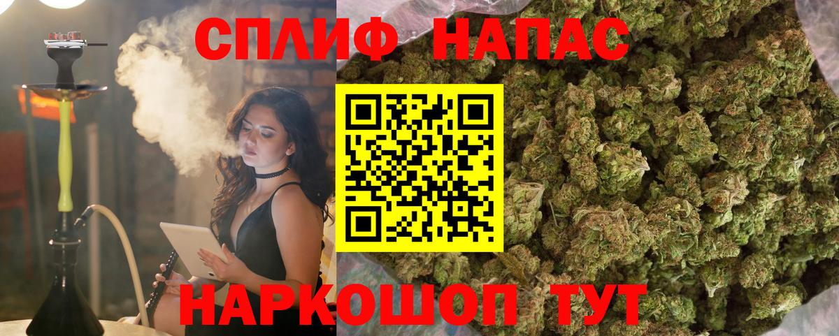 Шишки марихуана план Аргун
